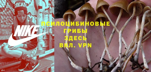 герыч Вяземский