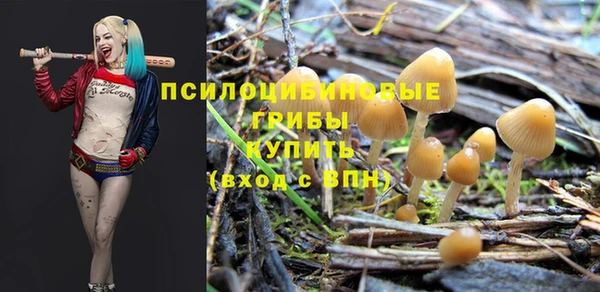 сатива Сосновоборск