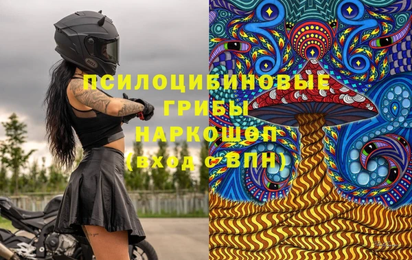 герыч Вяземский
