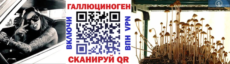 Псилоцибиновые грибы мицелий  дарнет шоп  Снежинск 